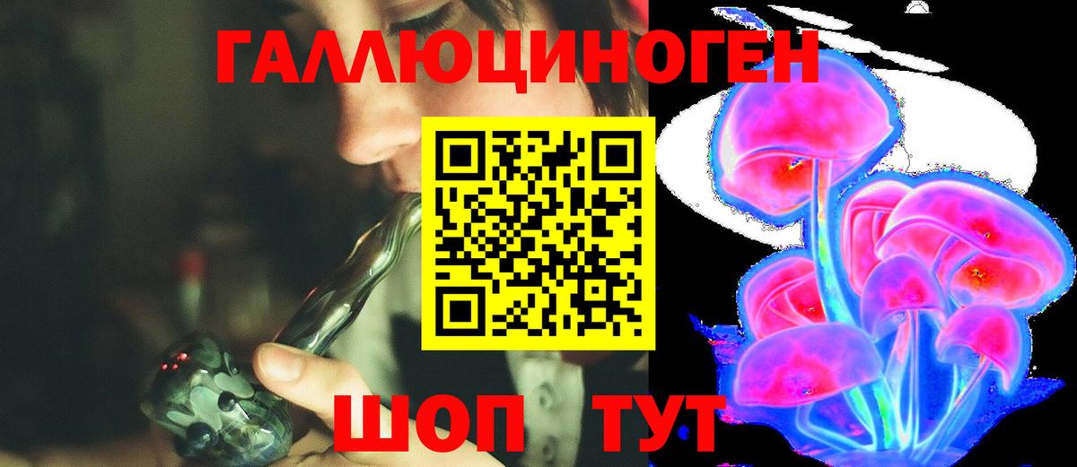 Галлюциногенные грибы Cubensis Карталы