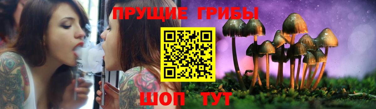 Галлюциногенные грибы прущие грибы  Вход с VPN  Карталы 